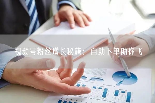 视频号粉丝增长秘籍:自助下单助你飞