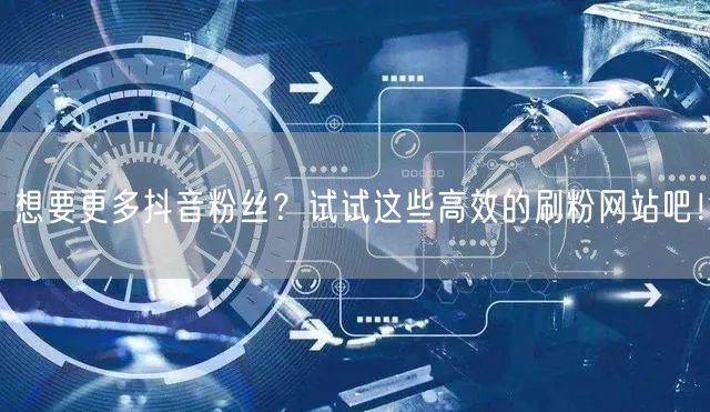 想要更多抖音粉丝?试试这些高效的刷粉网站吧!