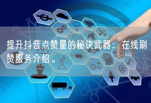 提升抖音点赞量的秘诀武器:在线刷赞服务介绍。