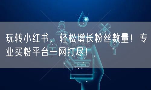 玩转小红书,轻松增长粉丝数量!专业买粉平台一网打尽!