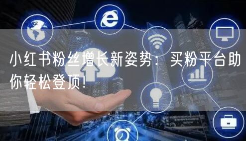 小红书粉丝增长新姿势:买粉平台助你轻松登顶!