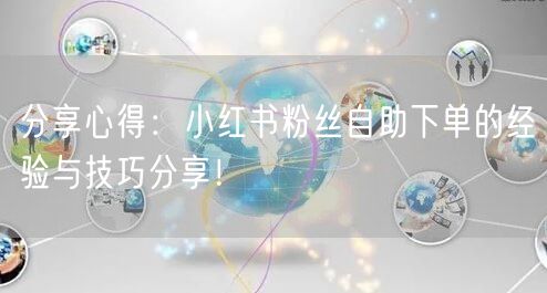 分享心得：小红书粉丝自助下单的经验与技巧分享！