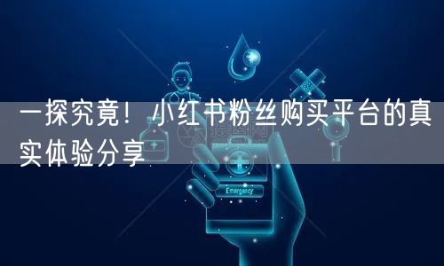 一探究竟！小红书粉丝购买平台的真实体验分享