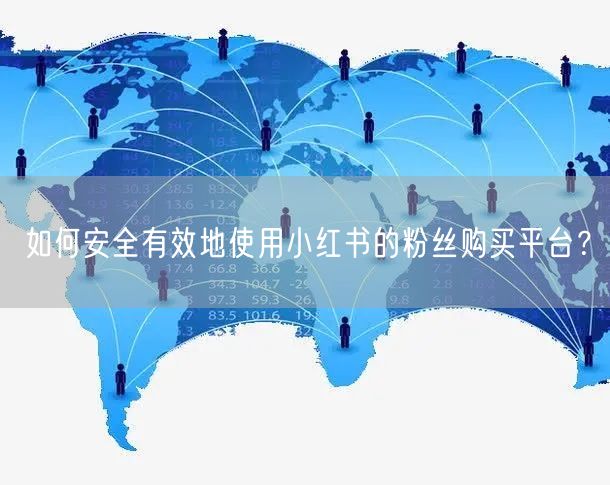 如何安全有效地使用小红书的粉丝购买平台？