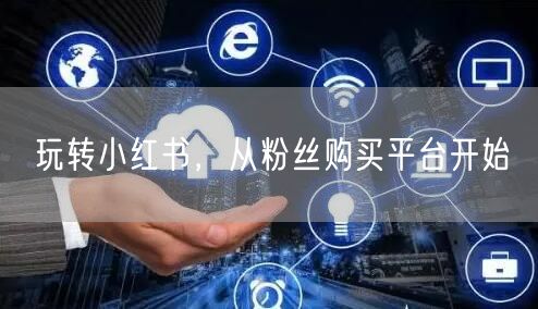 玩转小红书，从粉丝购买平台开始