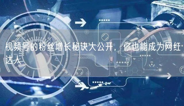 视频号的粉丝增长秘诀大公开，你也能成为网红达人